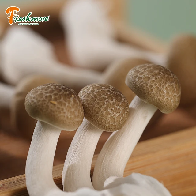 Купить свежие грибы онлайн готовка свежие грибы рядом со мной