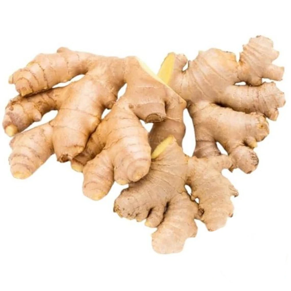 Wholesales Price Mature Fresh Ginger Stable Quantity From AGN Manufacturer +84962246940(Whatsapp)