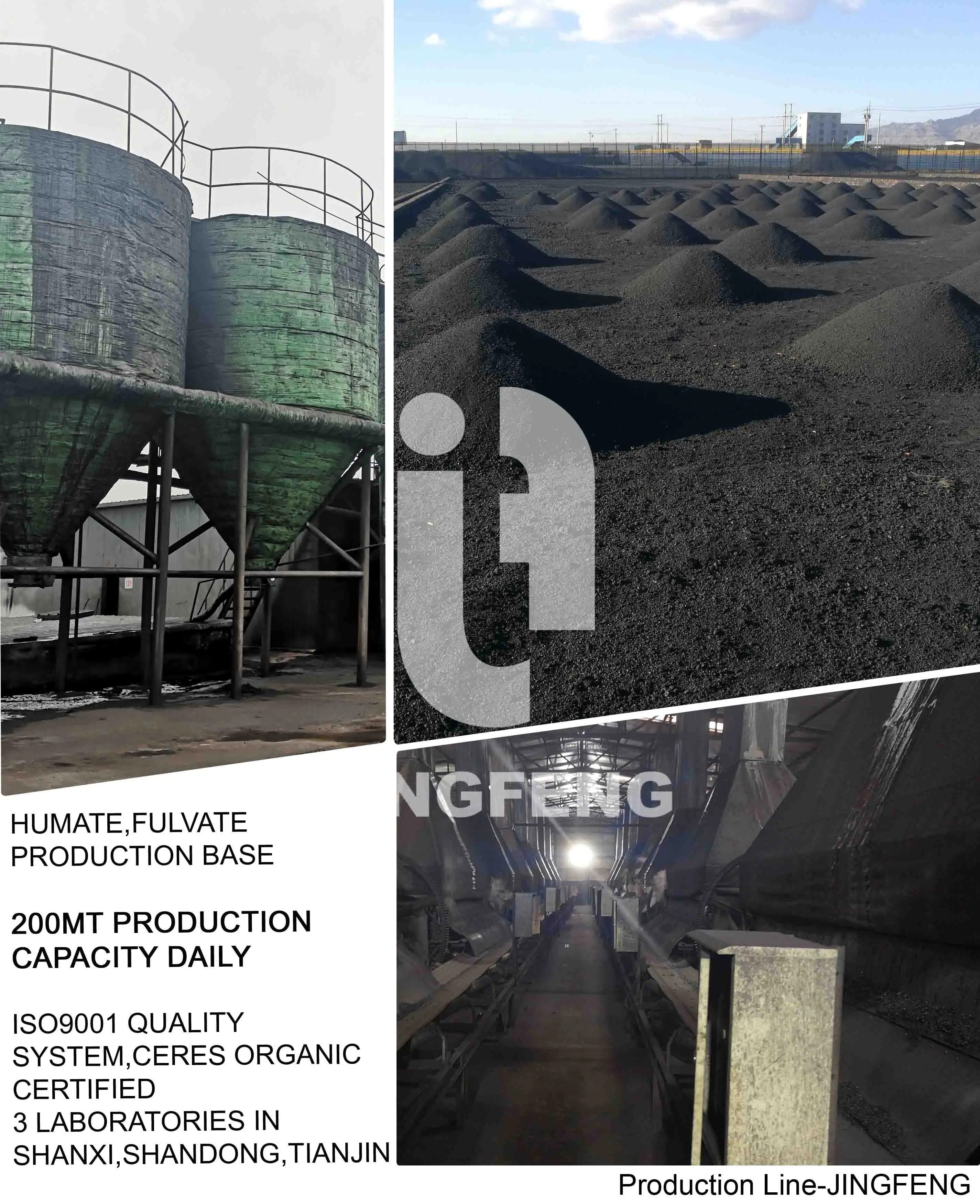 Organic Humate Granular Fertilizer 55%-65% Humic acid KHA Leonardite Humic Acid  potassium humate columnar with 8-12% K2O