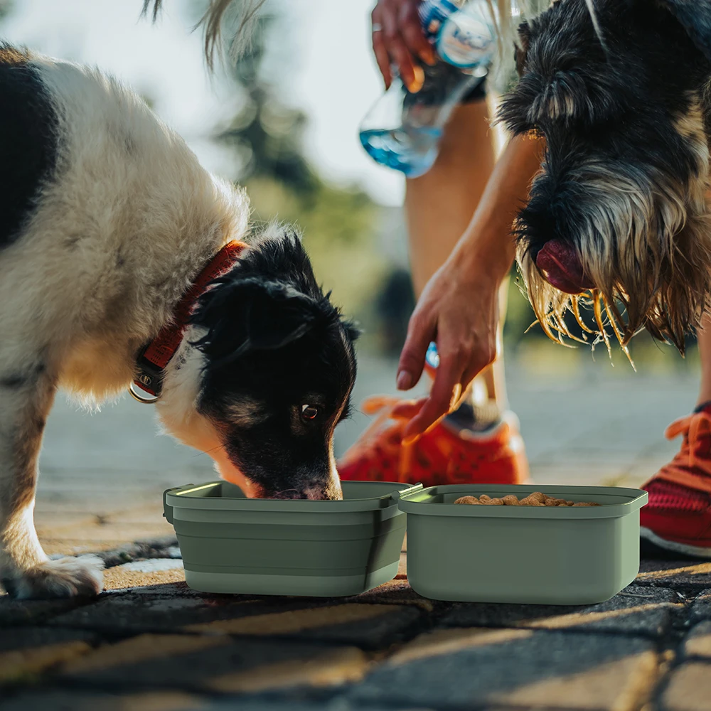 Manufacturer wholesale outdoor travel foldable portable collapsible dog two bowls