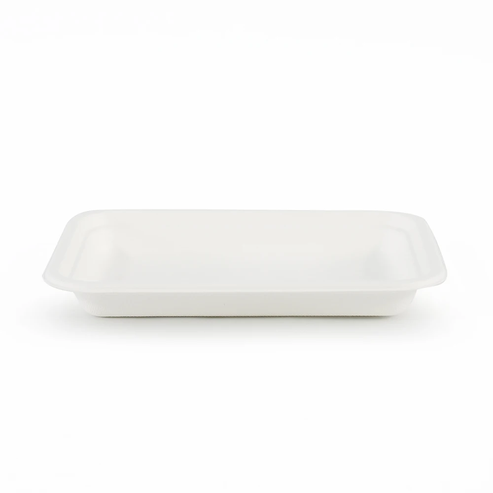Biodegradable Rectangle Compostable Disposable Bagasse Pulp Sugarcane Plate Food Tray