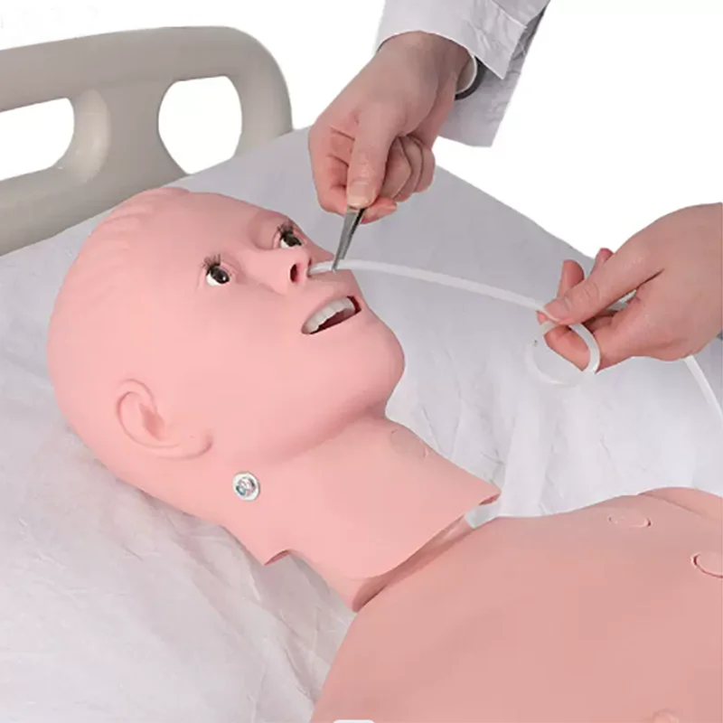 Advanced Training Multifunction Caregiver Model PVC Carton Box Medical Science  Manikins  whole Body HY  MM15 CN;HEN