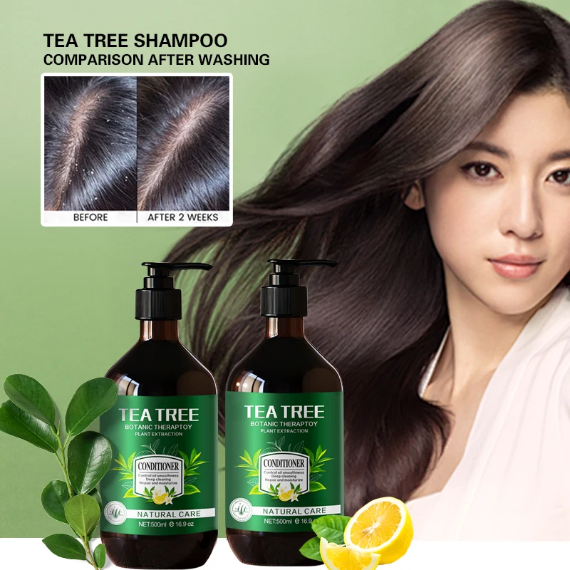 Private Label Beauty Natural Organic Hair Loss Tea Tree Oil Control Anti-Dandruff Shampoo and Conditioner Products