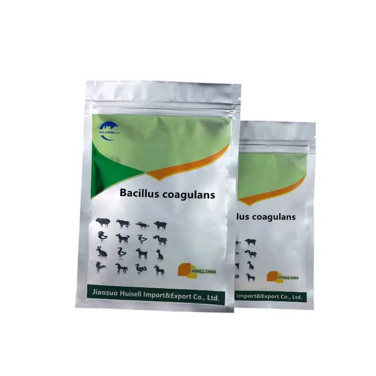 Bacillus Coagulans пробиотиков Bacillus Coagulans порошок