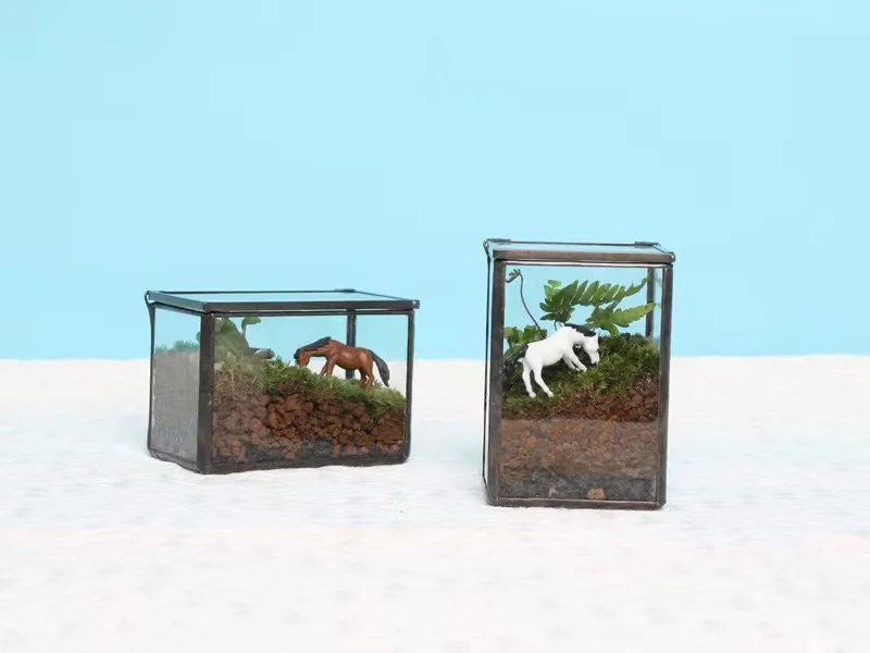 Hot Seller Preserved Moss Terrarium Metal Vessel with Glass