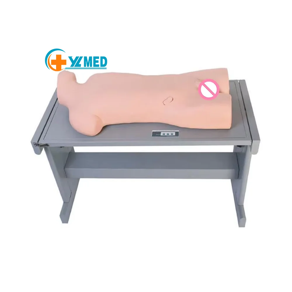 Medical Science WHOLE BODY ABDOMINAL PUNCTURE MODEL Used for Doctors and Nurses to Demonstrate Bone Marrow Puncture