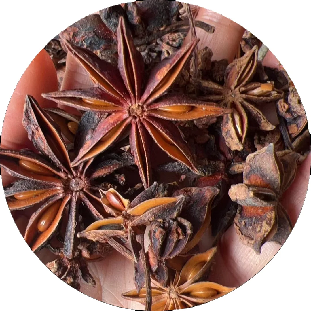 Wholesale Dried Star Anises Spice Spring and Autumn Flower shape Star Anise Seeds For Seasonings