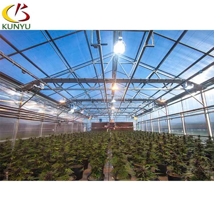 Hemp Growing Greenhouse Commercial Farming Blackout Green House For Sale