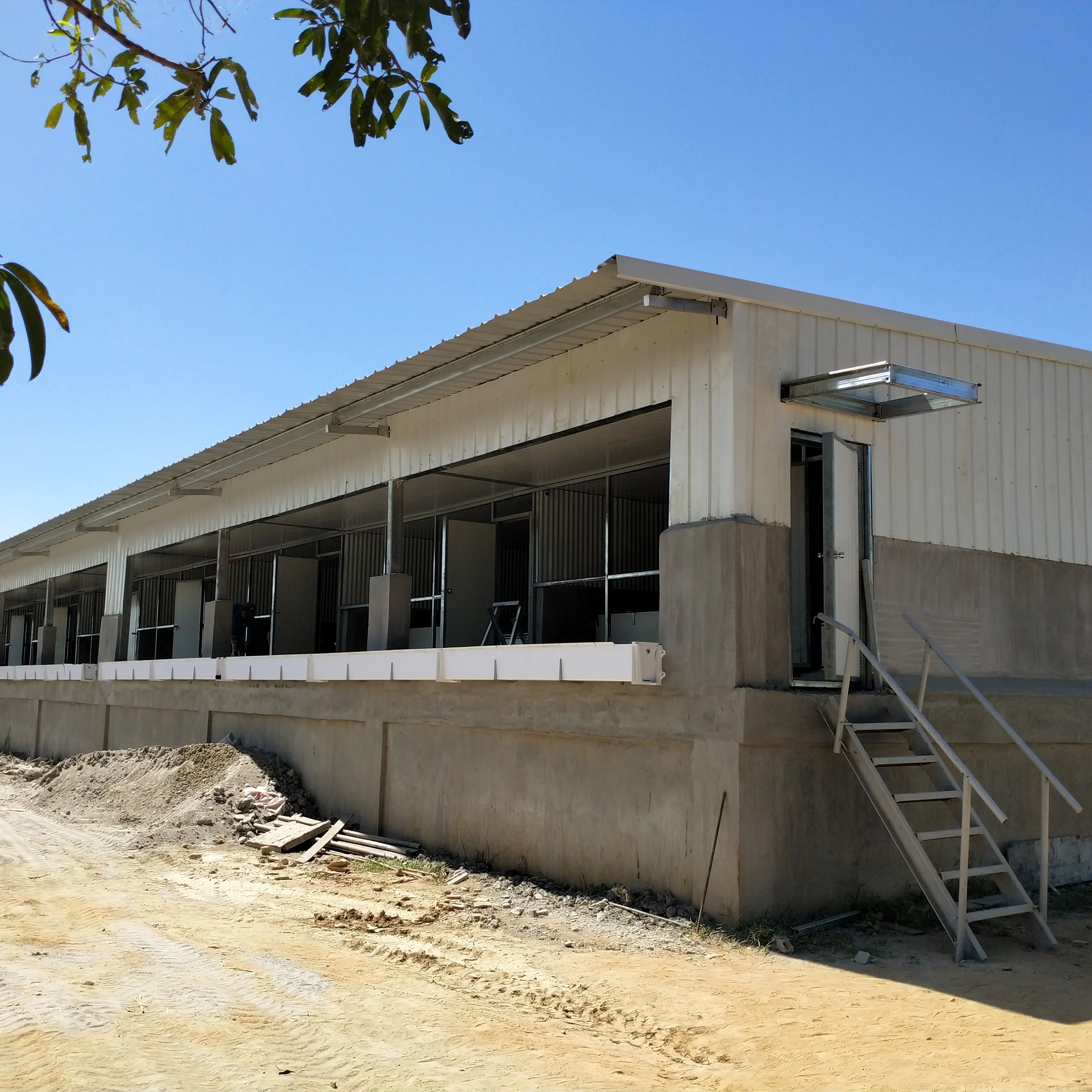 Light Steel Frame Sheds Pig Farm Equipment and Piggy Cage Sow House