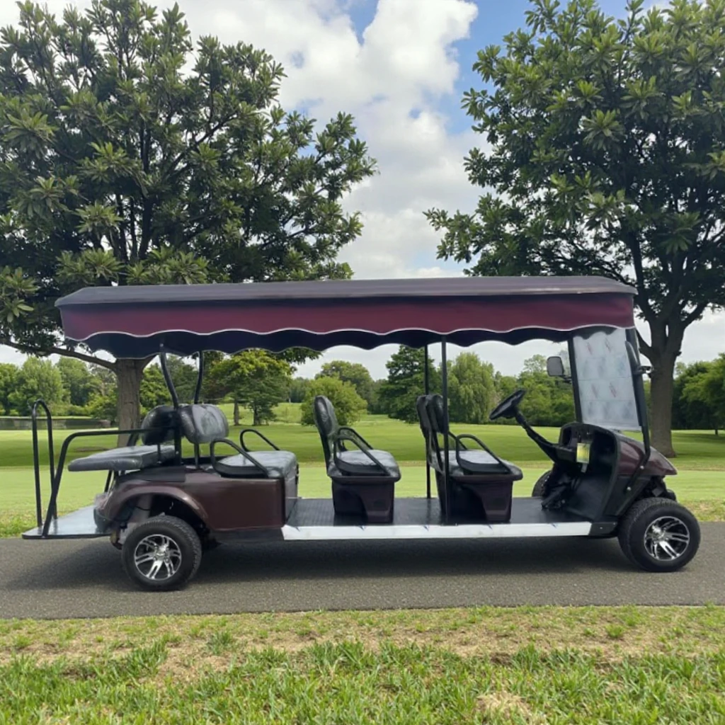 2025 Exclusive New Design Products Parison 4 Wheel Golf Cart Pink With 8 Passengers  Electric Utility Vehicle 2025SDZX12PTPR213