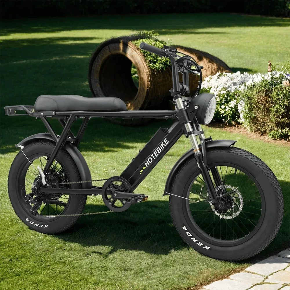 High Quality Electric Trike 48v 500w 750w 10ah Ebike 20inch 3 wheel e bike aluminum alloy frame electric cargo bike