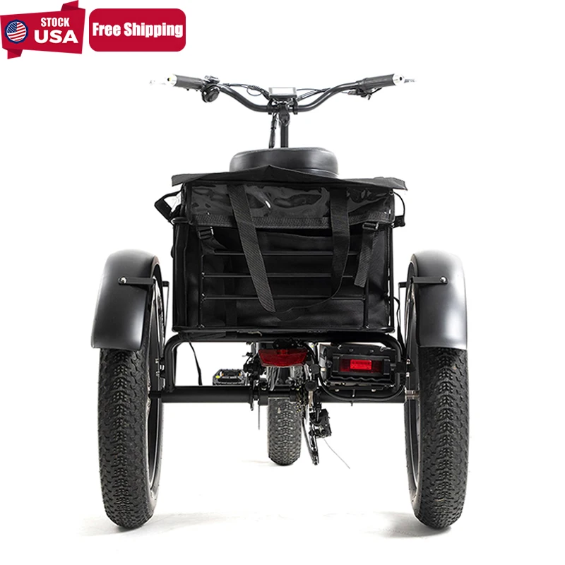 ANLOCHI cheap PAS E tricycle fat tire three wheel trike electric bike e-trikes 750 watt for adults