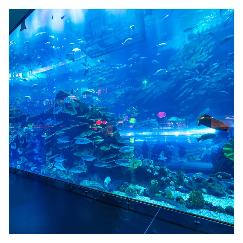 Wholesale price 50-700 mm custom thick panels public aquarium design acrylic fish tank aquarium large