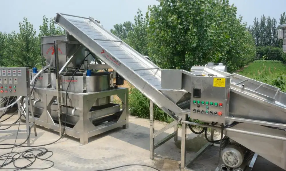Raisin Processing Line Raisin Cleaning Sorting Machine in Uzbekistan