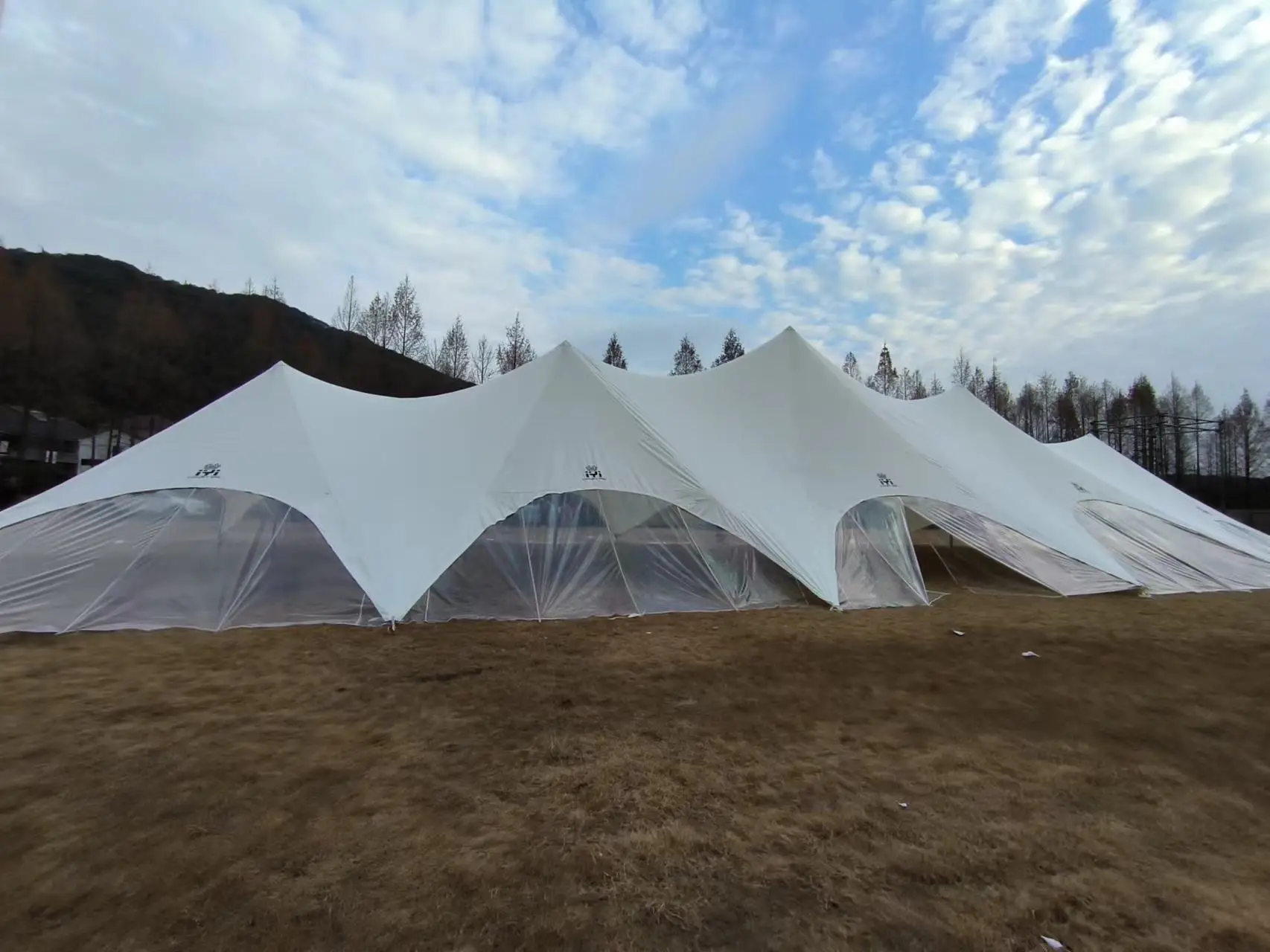 2024 new style easy set up fashion white wedding  big party outdoor event promotion star dome  tent