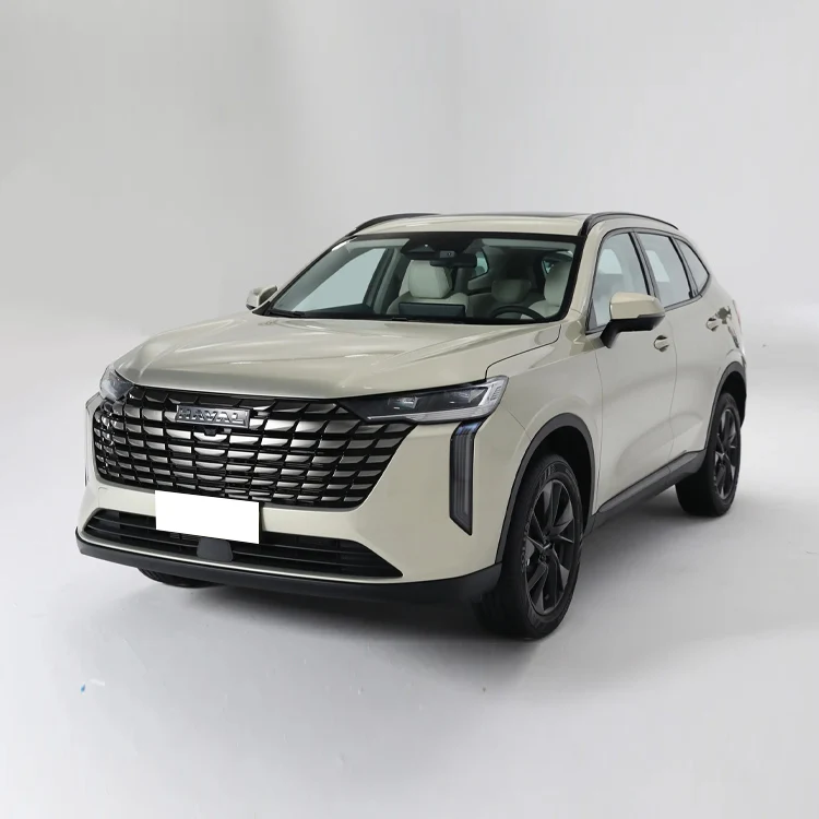 Высокопроизводительный автомобиль Haval H6s 2022 в наличии Горячая торговля для взрослых внедорожников бензиновых автомобилей