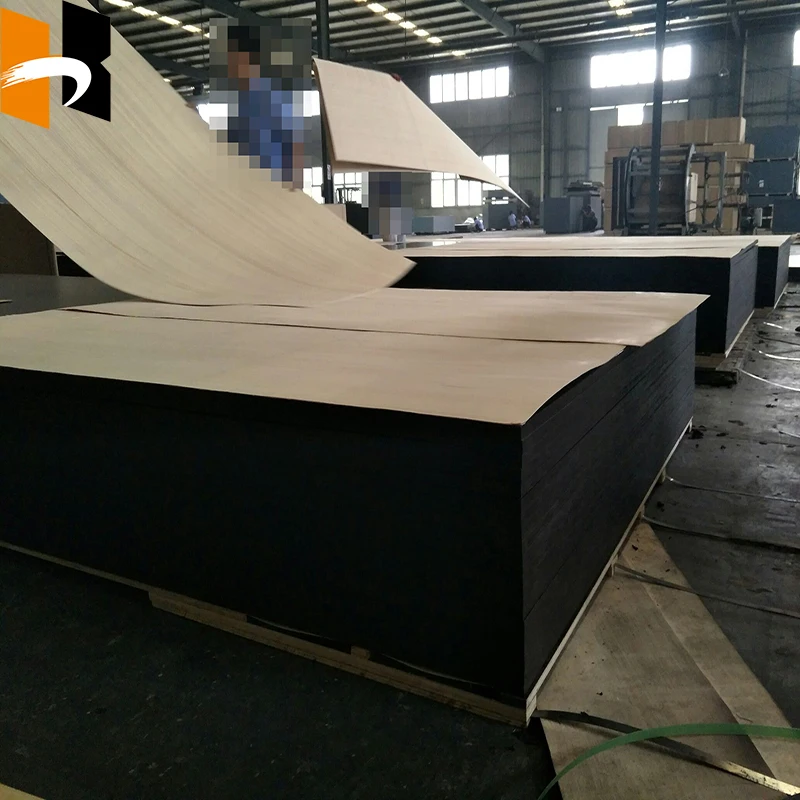 Wholesale Price Jumbo Big Size Film Faced Plywood Extra Film Faced Plywood For Sale