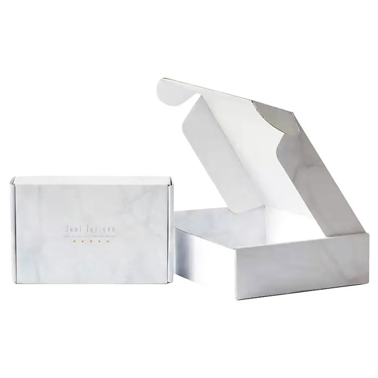 Custom Logo Printed Corrugated Cardboard Paper Packaging Mailer Postal Shipping Box