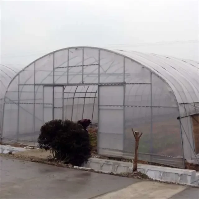 Good Quality And Easily Installed Single  span  Agricultural/Commercial PE Film  Tunnel  Green House