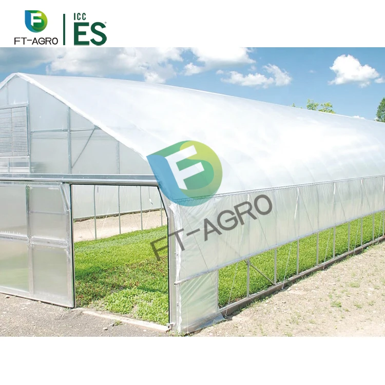 Low Cost Agriculture Strawberry Plastic PO Film Tunnel Greenhouse Single-span Greenhouses