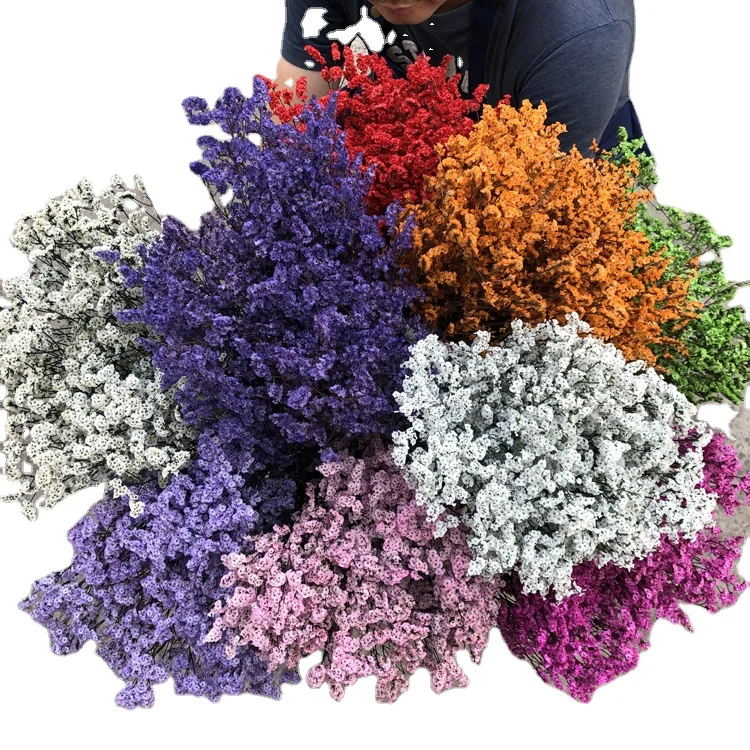 Factory supply preserved flower Preserved Sea Lavender flower Limonium dry crystal grass from Kunming Rainbow