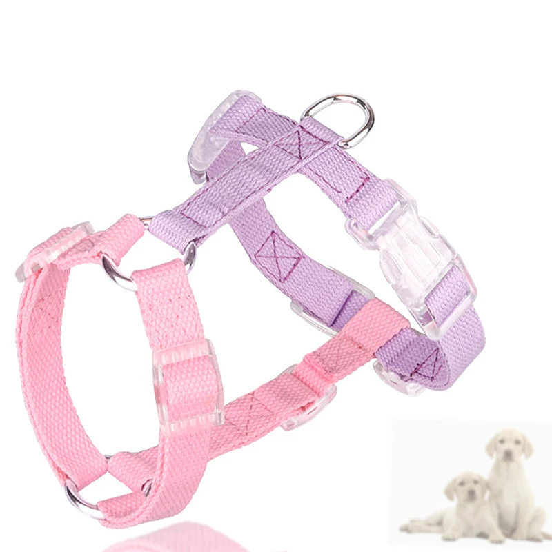 Color matching pet dog leash set wholesale I-shaped pet harness chest strap cotton woven anti-break pet harness set