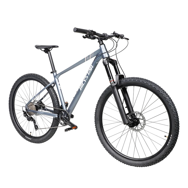 BICYSTAR new Mountain bicycle for sale/26 inch  mountain bike for men/Wholesale hot sale cheap MTB cycle