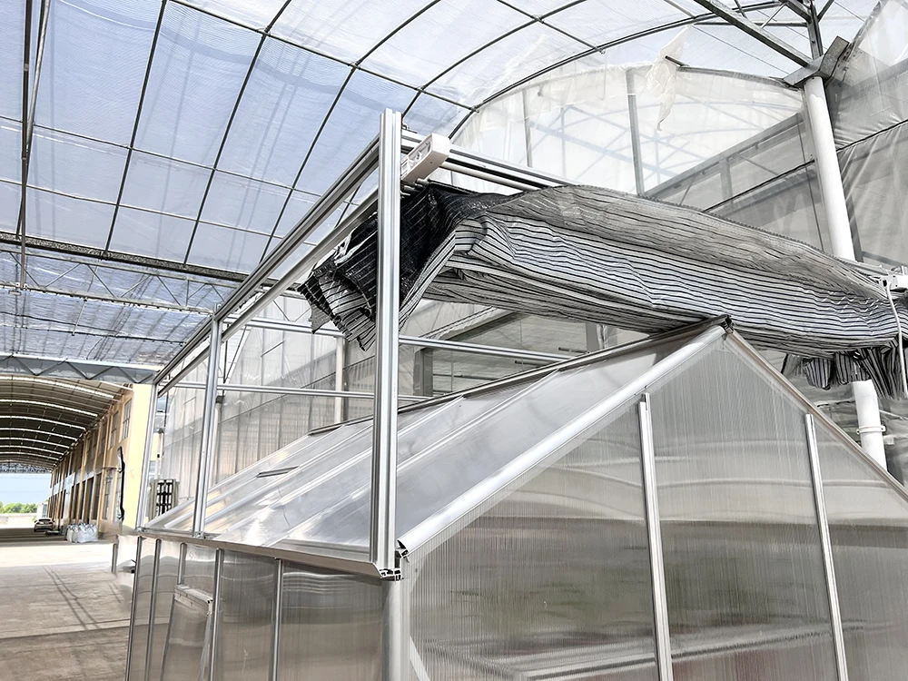 Skyplant Economical aluminium garden house greenhouse