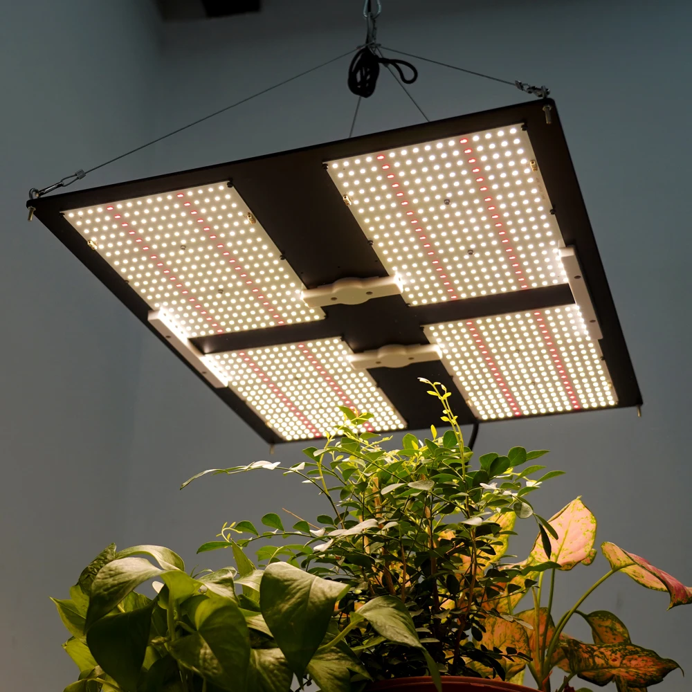 2021 садовая Светодиодная лампа для теплиц 480 Вт 550 V2 MEIJIU QB288, панель платы Samsung LM301B LM301H, Светодиодная панель для комнатных растений