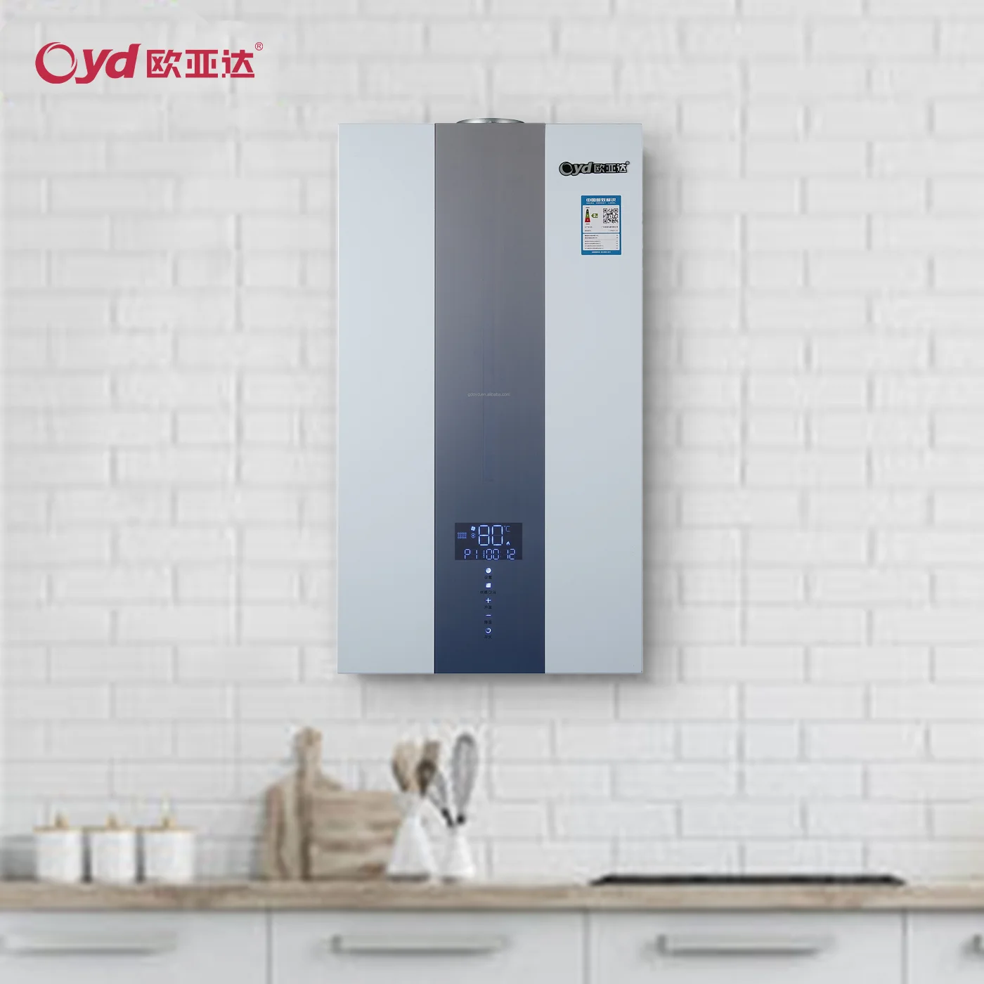 House Boiler 20Kw A12 From Model Wallmounted Gas Boiler Manufacturing Company WiFi Control Available