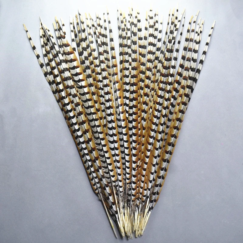 Ehfeather Good Quality natural  pheasant feather trims fringe Gorgeous Fashionable pheasant feathers
