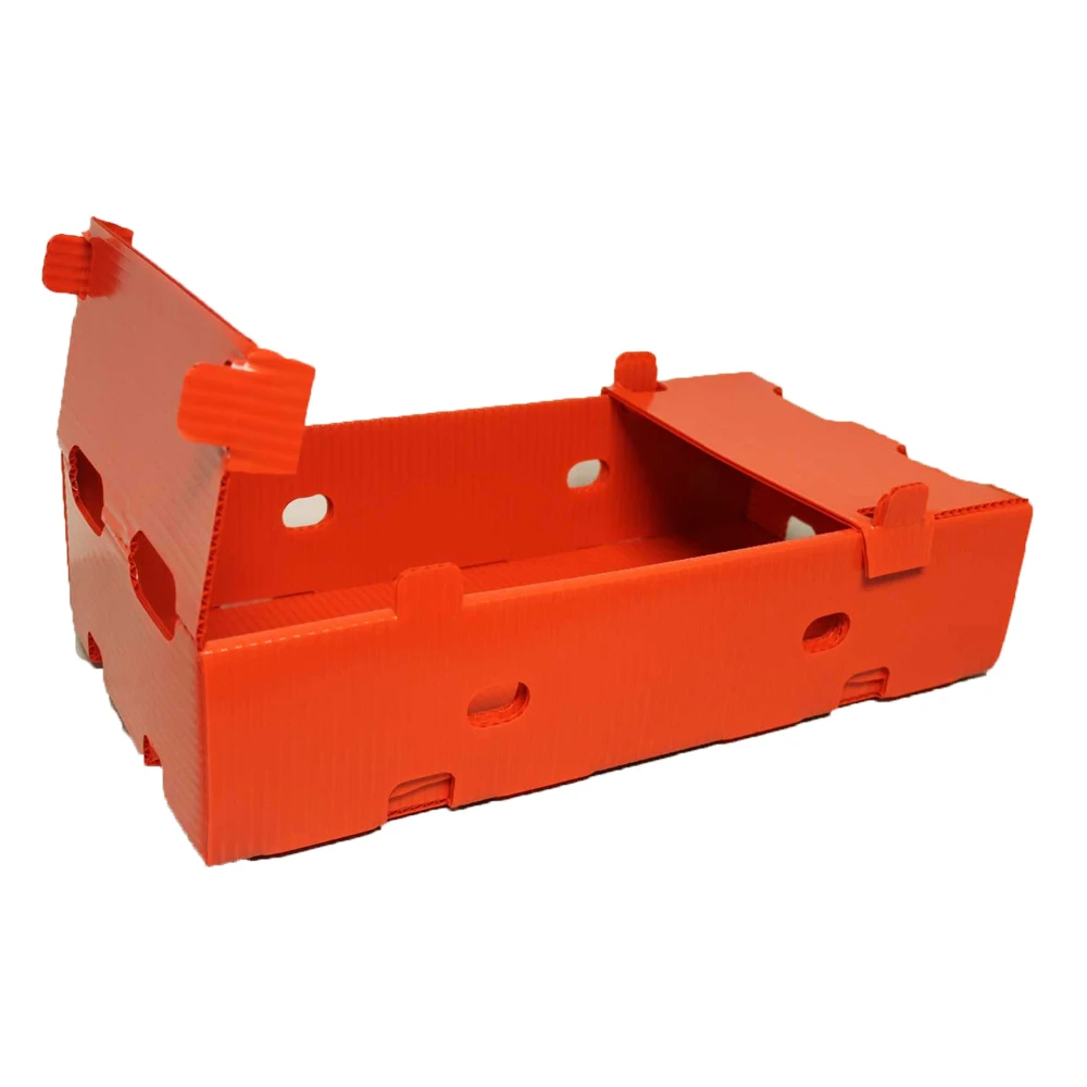 PP Coroplast Box PP Plastic Corrugated Sheet Correx PP Hollow Plastic large moving Packing Box