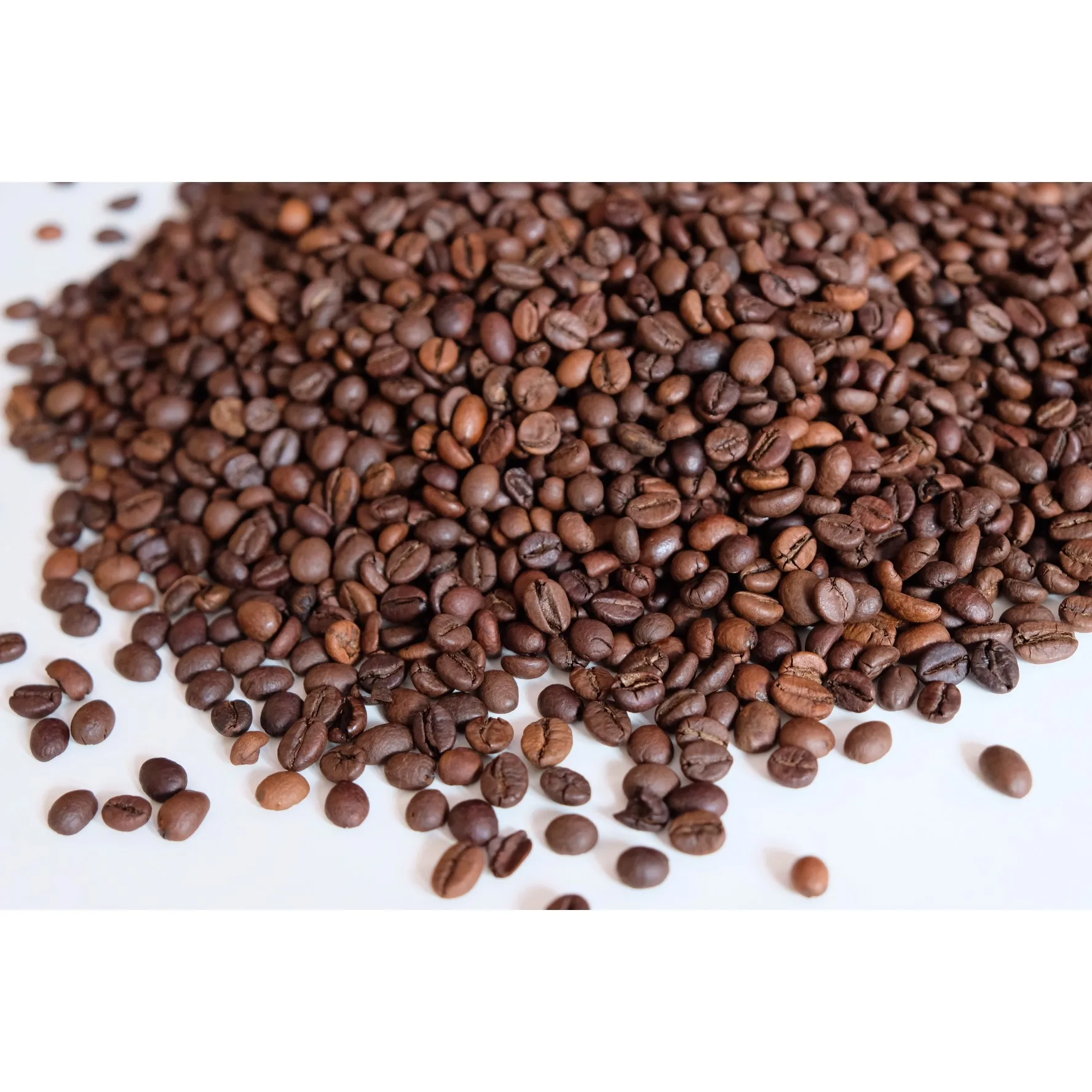 Made in Vietnam Robusta S16 Roasted Carpentry Coffee Beans Cafe Medium Roasted Robusta Beans High Quality Robusta Beans Roasted