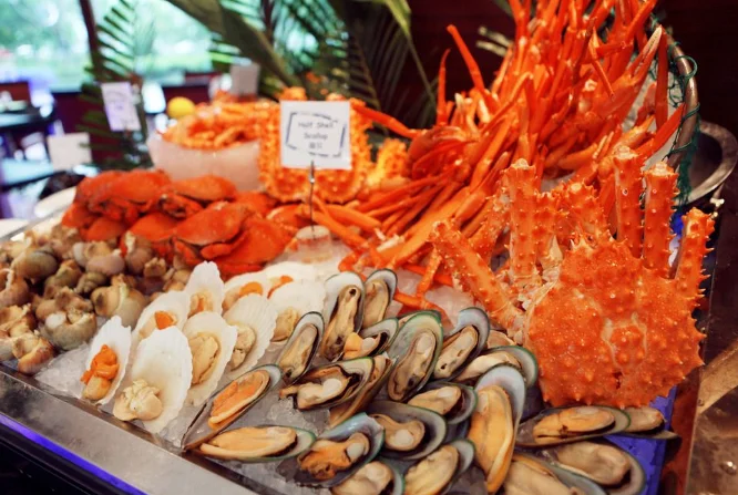 304 stainless steel spice mussel automatic cleaning machine