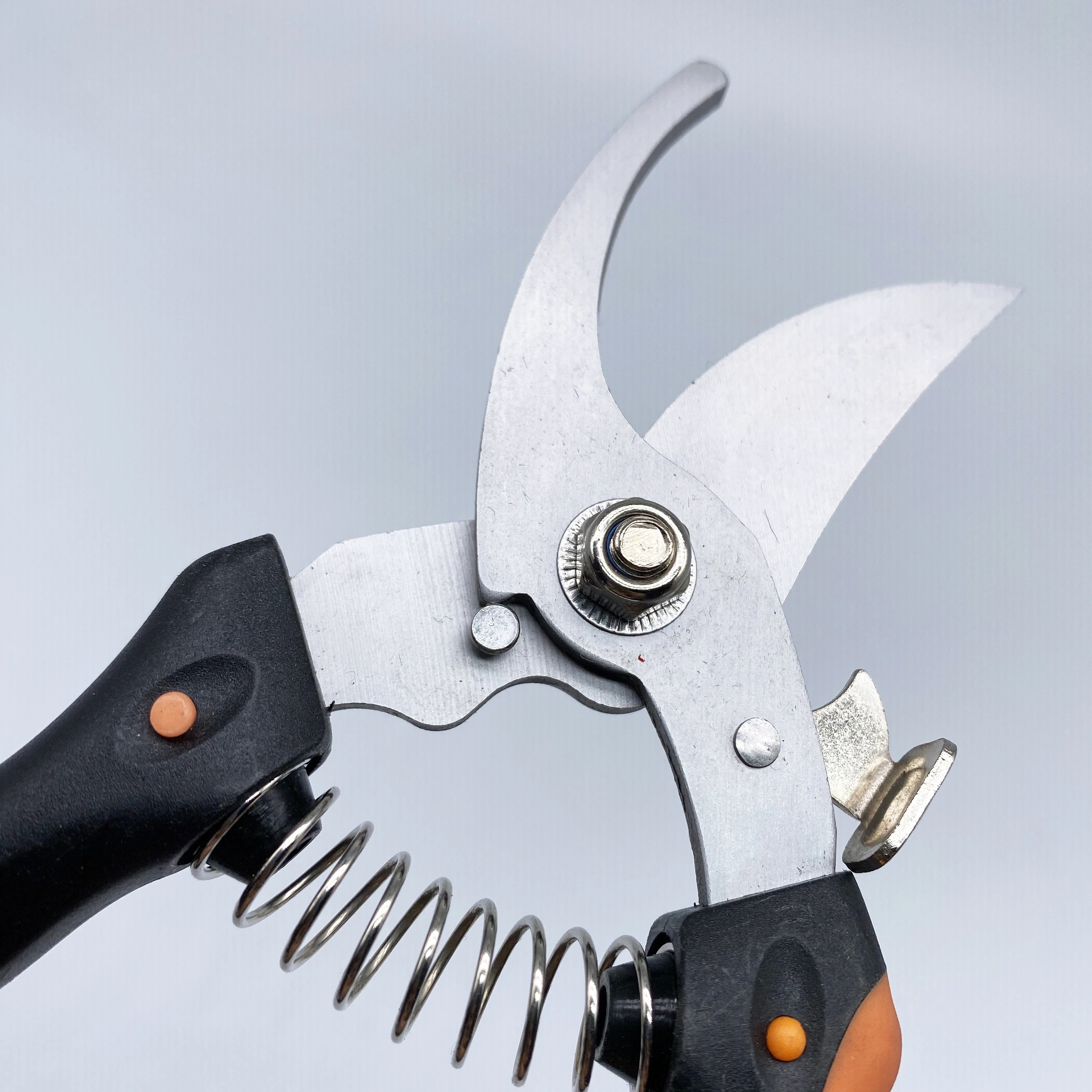 Popular Garden Tools Pruning Shears Scissors Straight Fruit Tree Pruner Bypass Industrial 5-7 Days 7.5 Inch OEM,ODM Plastic 3mm