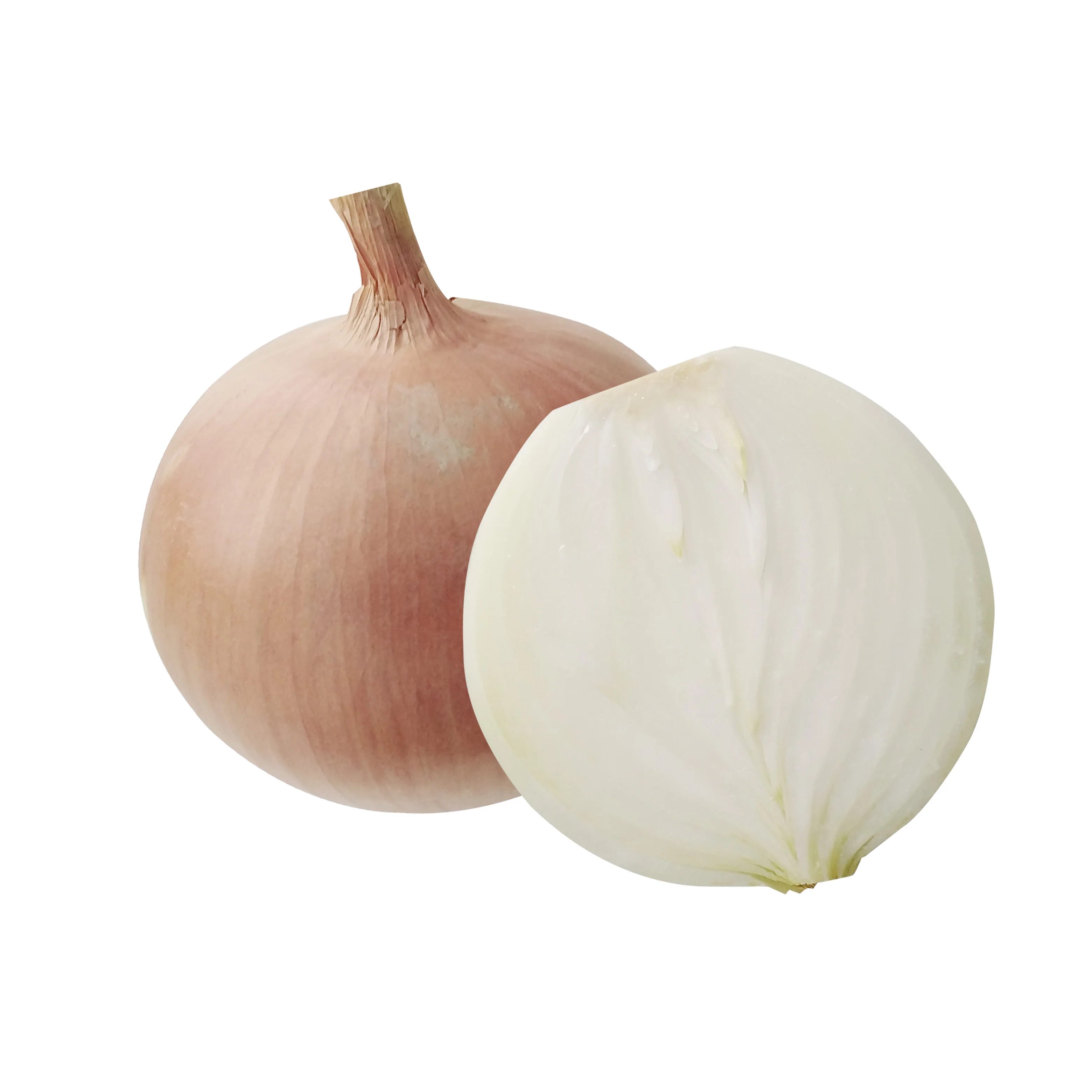 Ферма самостоятельно производит и экспортирует желтый лук