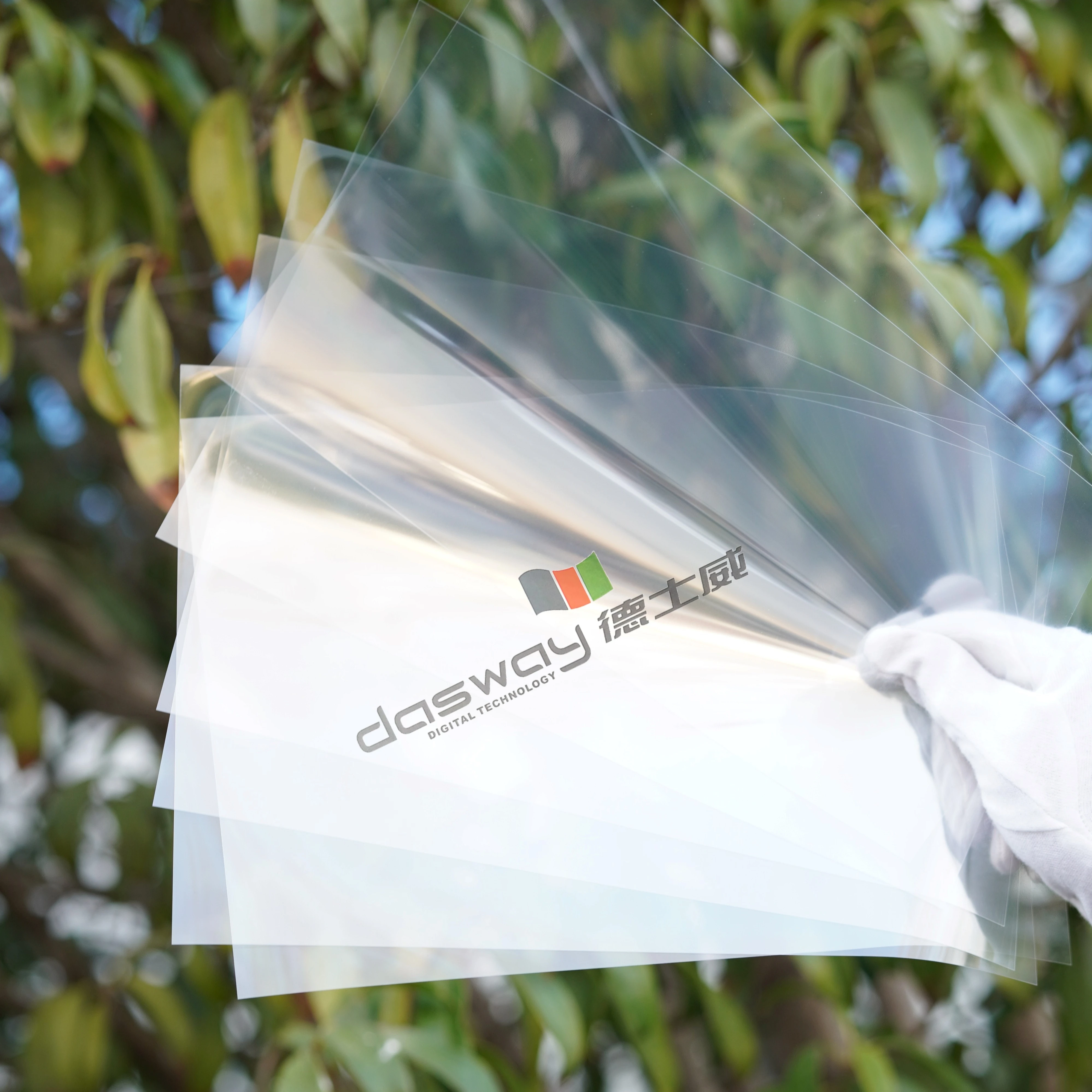 Best Price Free Sample Laser Clear Film for Silk Screen Printing Plate Making Engineering Drawing Laser Printing