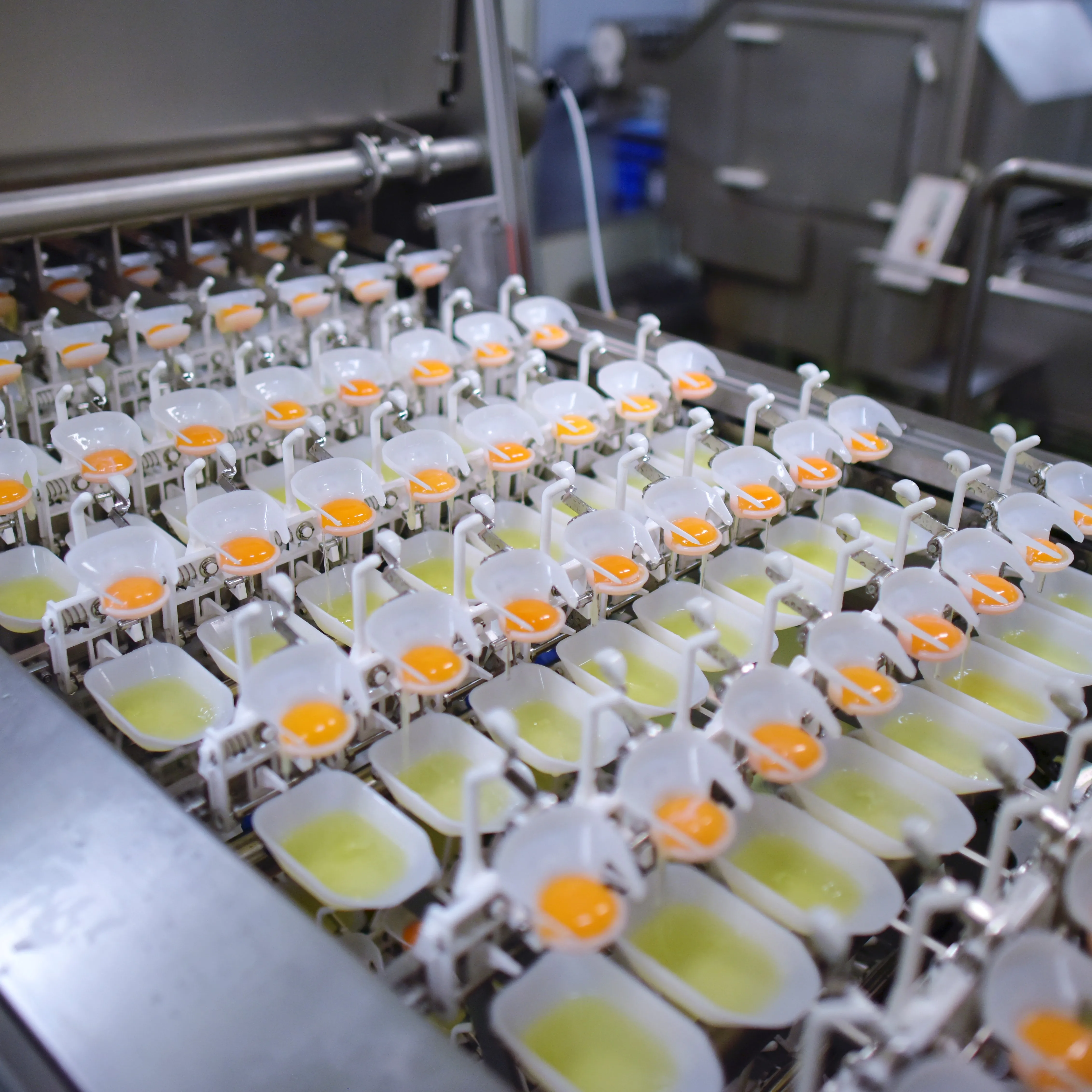 Japanese Frozen Liquid Secure Packs Pasteurized Whole Egg Reasonable Prices Wholesale Eggs