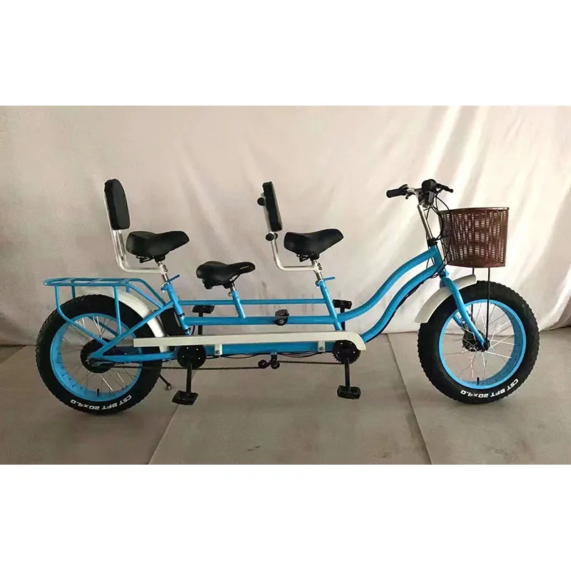 Factory direct Sightseeing double Adult bicycle tandem electric bike