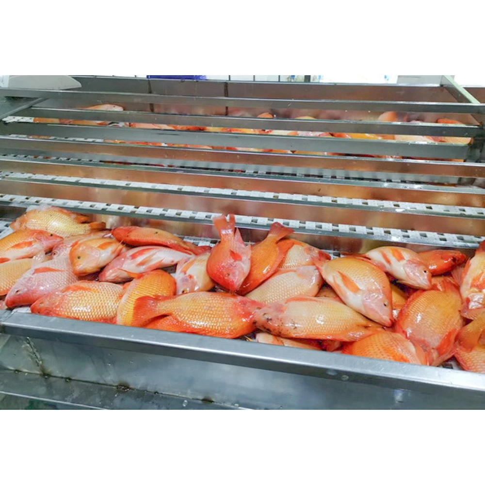 China export red tilapia fish 500-800g 300-500g 350-550g bulk packaging whole round gutted scaled fresh frozen red tilapia price
