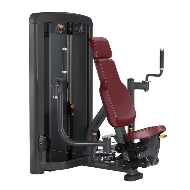 Factory Price Gym Fitness  Body Building Sports Machine Lateral Raise Commercial Gym Exercise Equipment