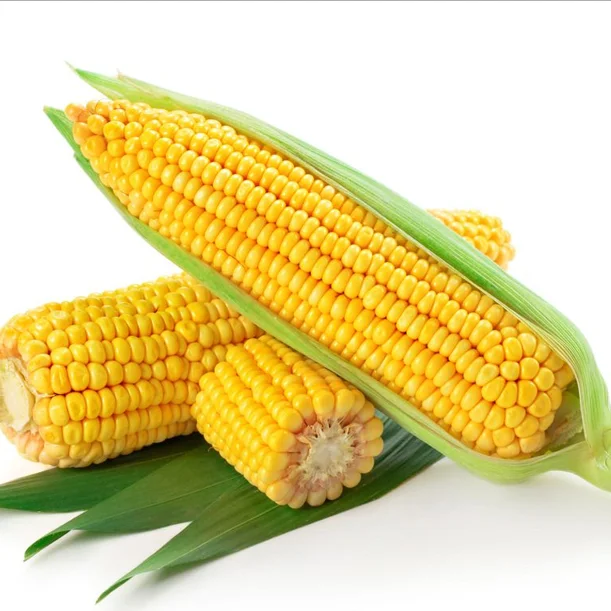 Sweet corn seasoning powder corn powder sweet corn flavour for food