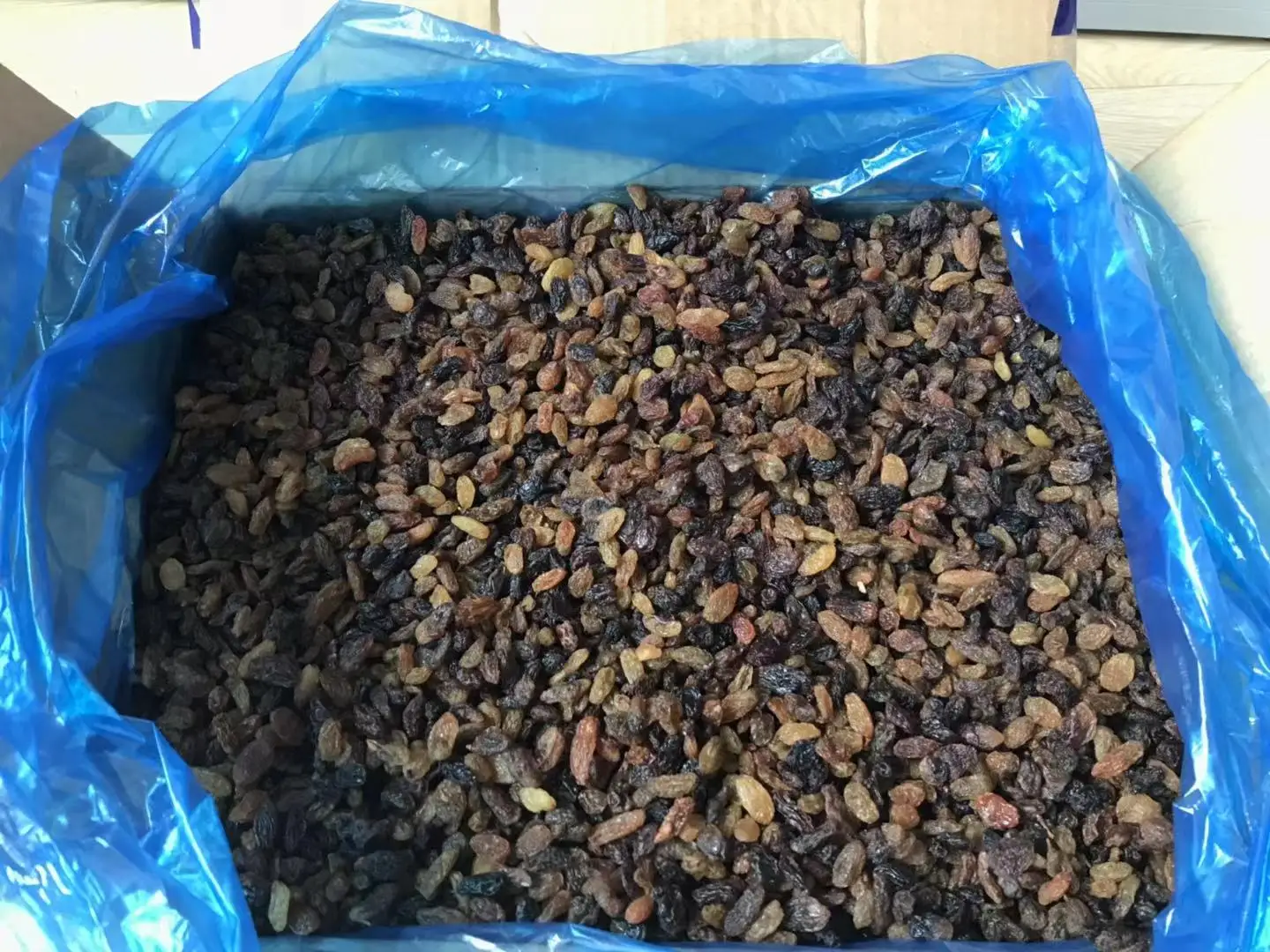 wholesale seedless dried raisin sultana