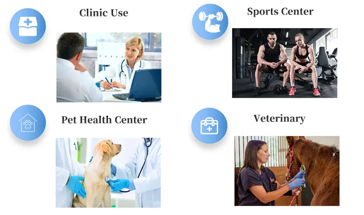 Pmst Loop Pulsed Electromagnetic Magnetic Wave Field Therapy Mat Pemf Equipo De Fisioterapia Para Aliviar El Dolor