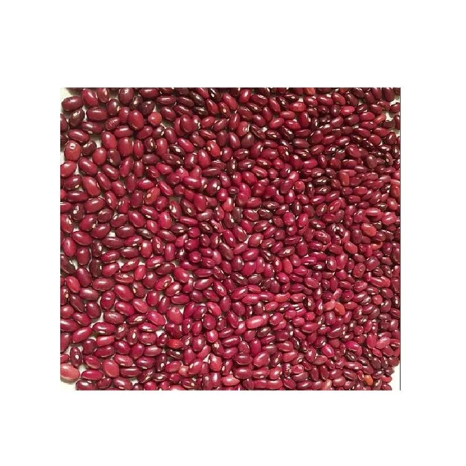 Hot Selling High Quality Export New Crop Dry Light Red Kidney Beans From Ethiopia Manufacturers