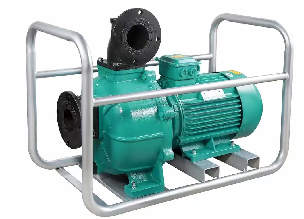 High-Pressure Priming Water Pump with Large Flow Self-Priming Feature