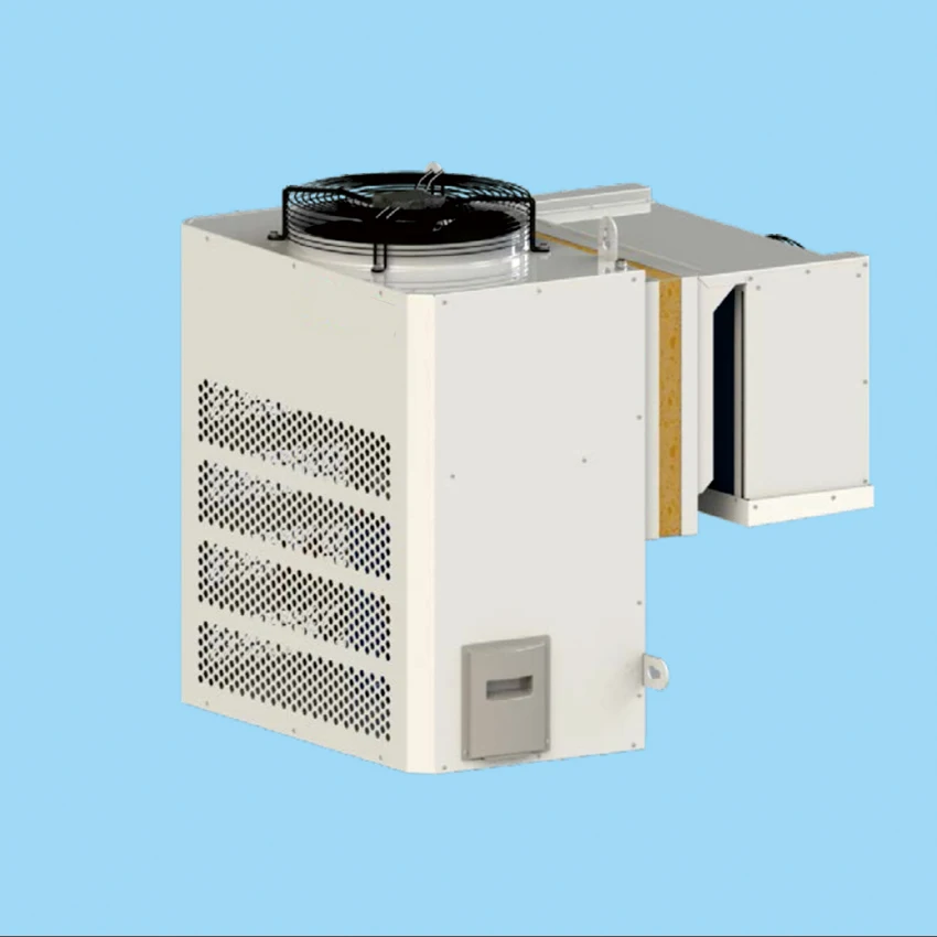 Компрессор для хранения мяса 1HP DC встроенная система