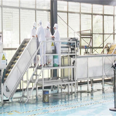 Fig fruit puree processing line SUS 304 material with auto control machines