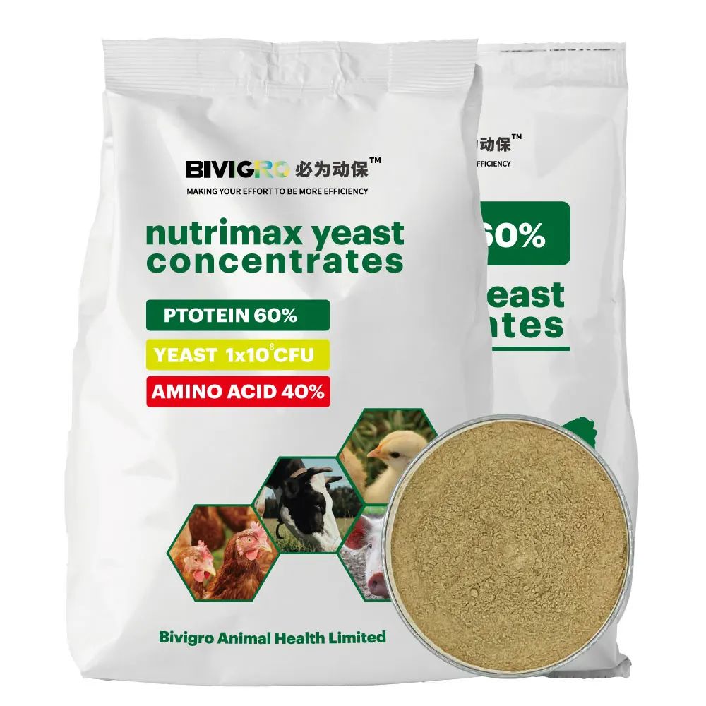 Animal Feed Grade Inactive Brewers Yeast Protein 64% With Growth Promotion Infactors