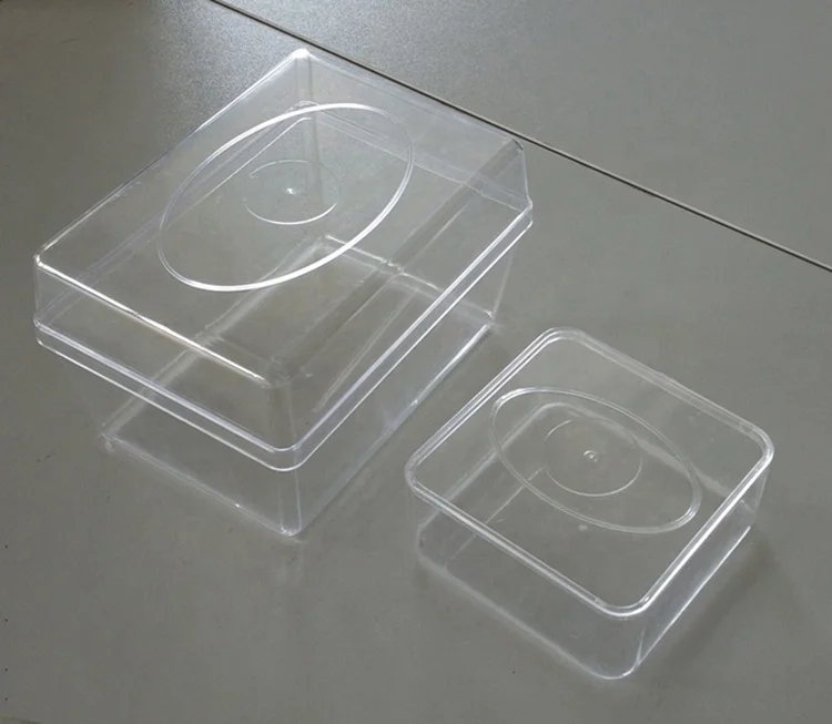 Bean Sprouts Growing Tray Seed Seedling Starter Dish